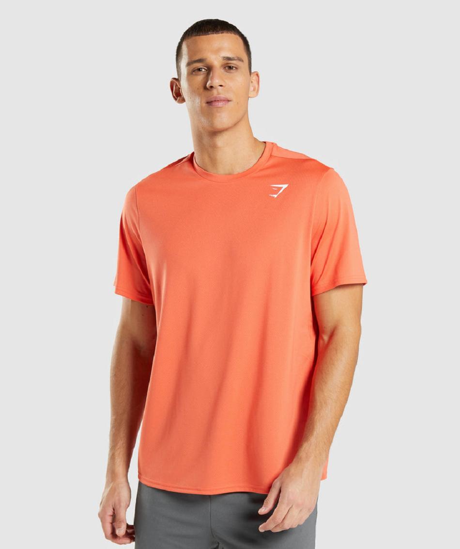 Gymshark Arrival Regular Fit Muške T Shirts Narančaste | HR 2447KOR